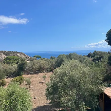 别墅 House With Sea View, Route De Palombaggia 维琪奥港