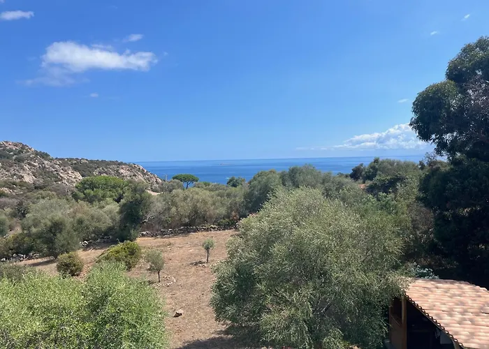 别墅 House With Sea View, Route De Palombaggia 维琪奥港